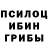 Псилоцибиновые грибы Magic Shrooms othman saoud