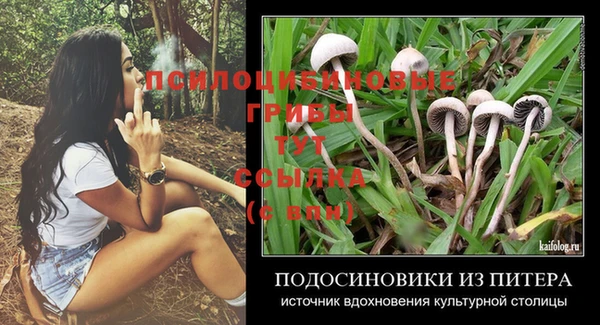эйфоретик Алзамай