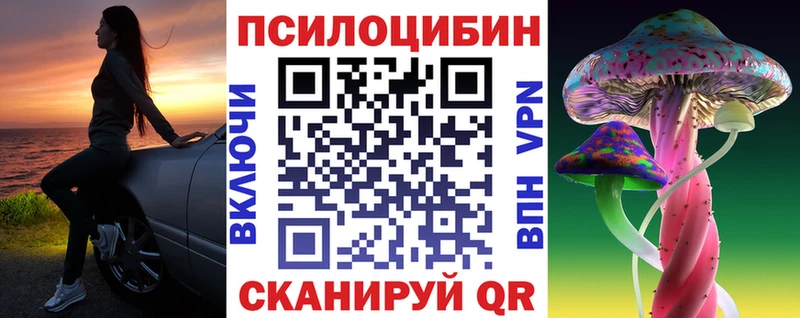 mega tor  купить   Межгорье  Псилоцибиновые грибы мицелий 